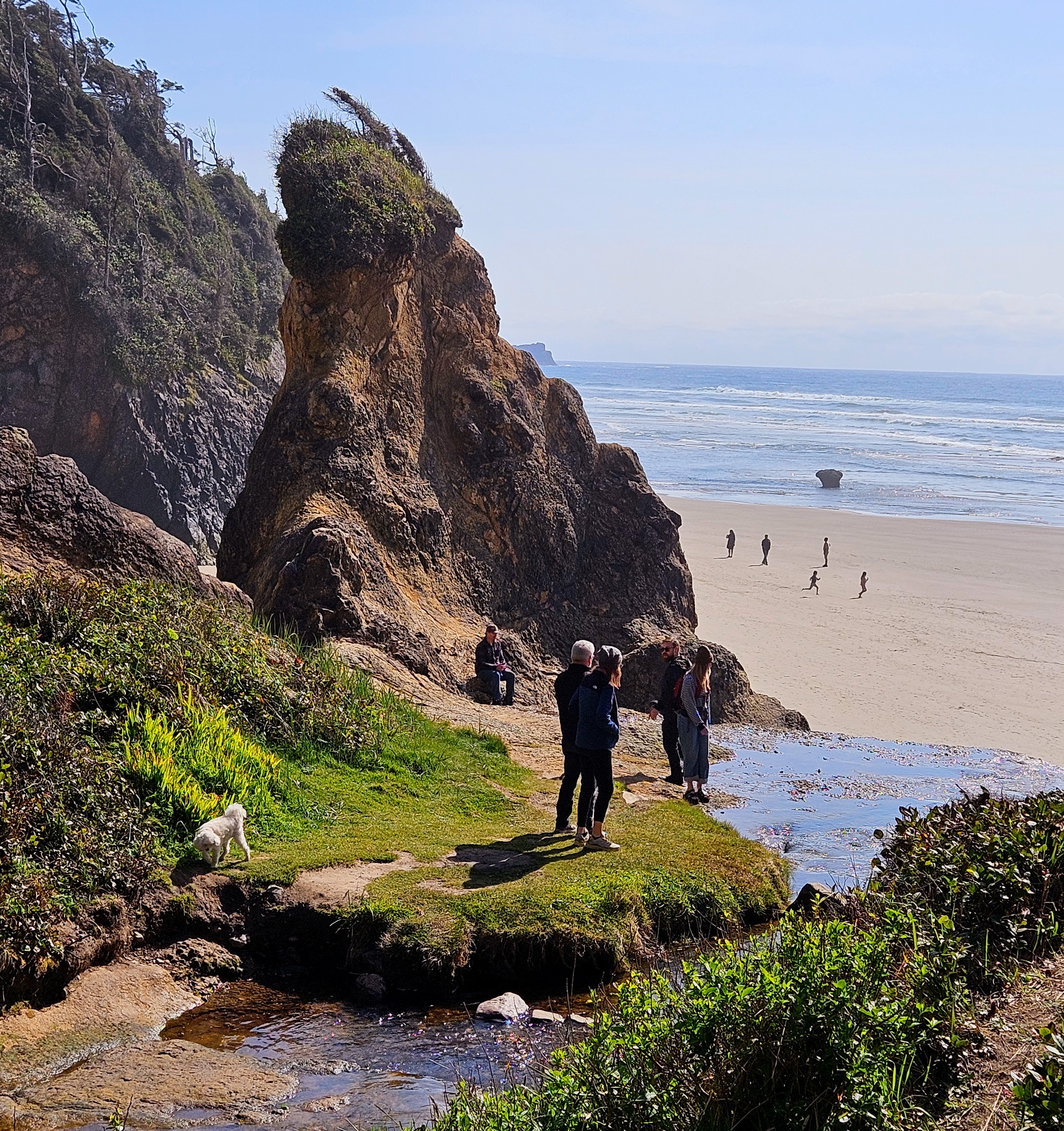 People looking into the ocean